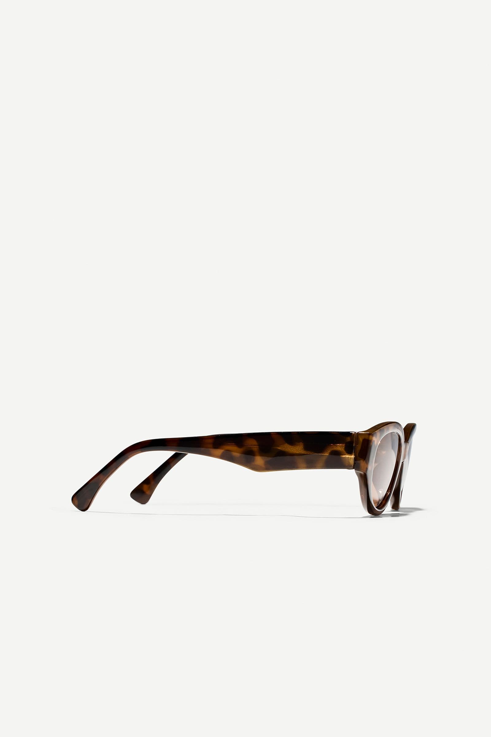 Jude sunglasses 15071 Tortoise Brown